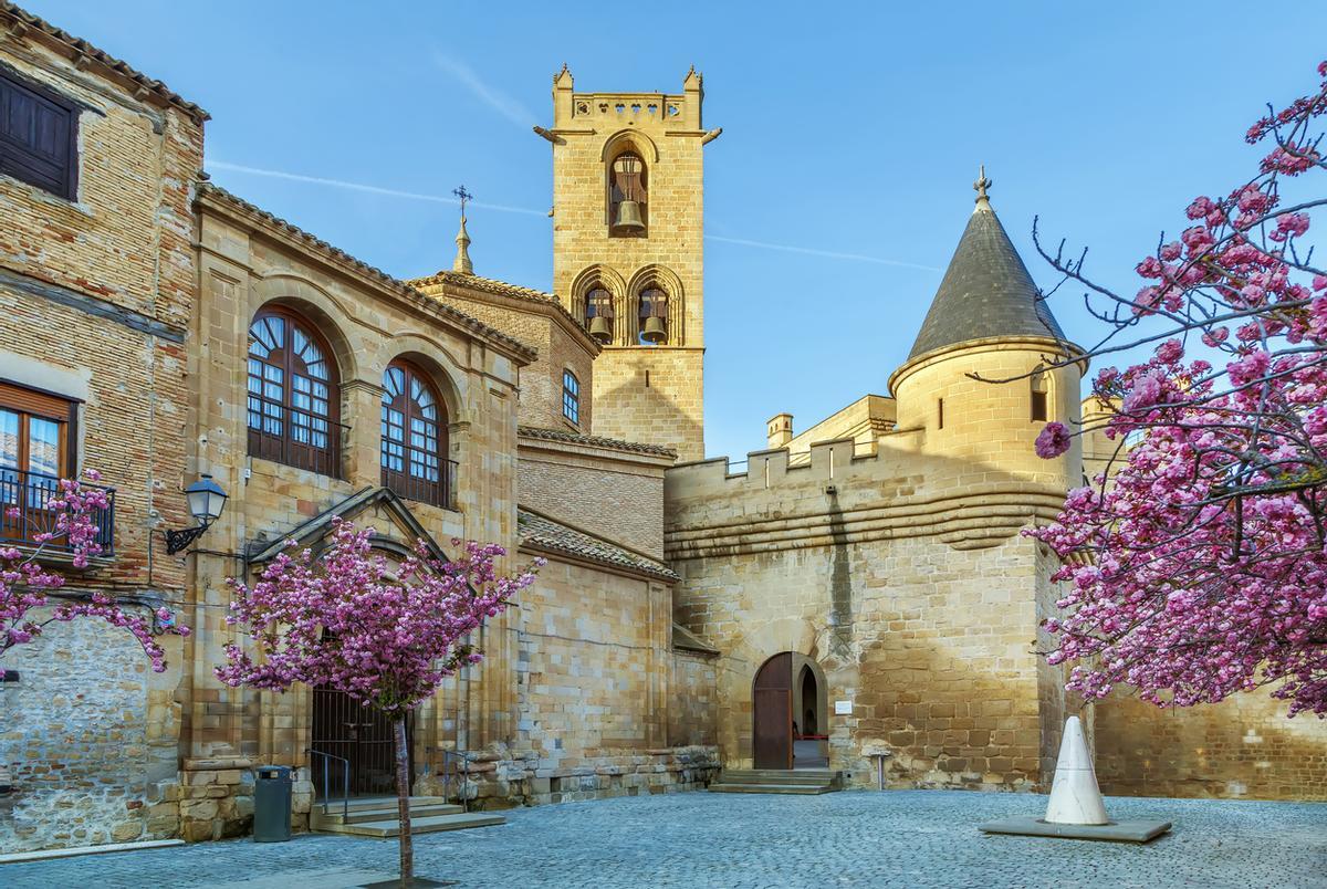 Palacio de los Reyes de Navarra, más conocido como Castillo de Olite.