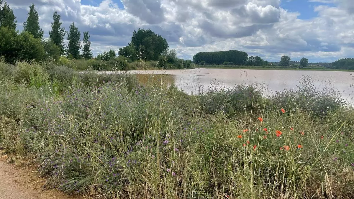 Burganes urge la limpieza de los arroyos para evitar más desastres por las lluvias