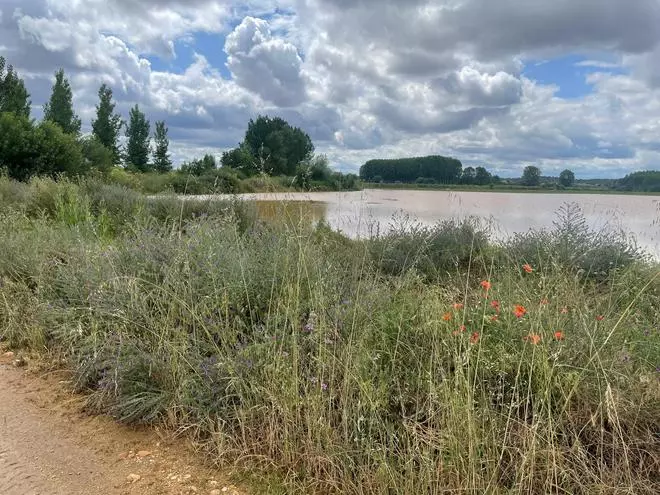 Así quedaron fincas de Burganes de Valverde por la tromba de agua