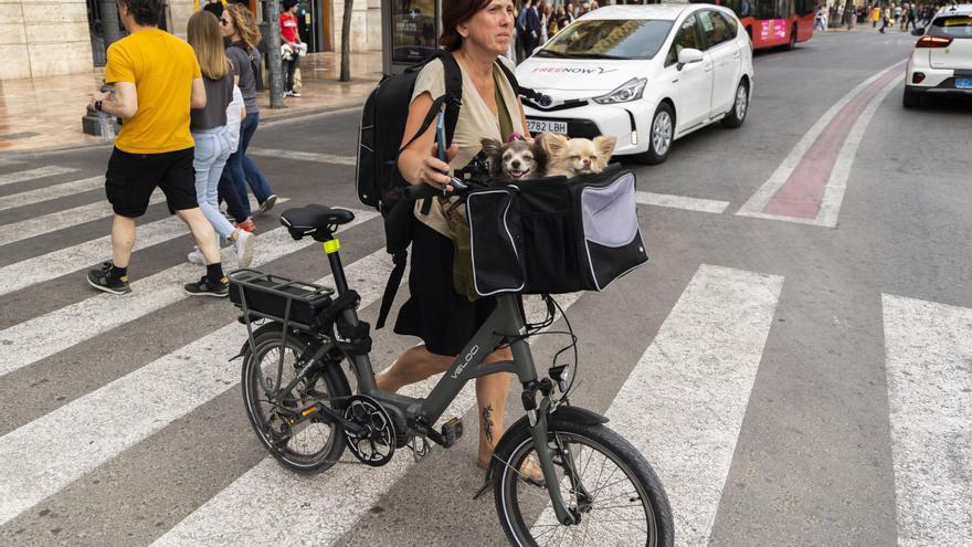 El Ayuntamiento de València ruega que no se tiren petardos entre las 15 y las 17 horas para sacar a los perros