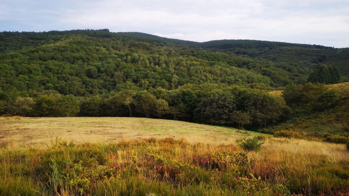 Terrenos afectados por los parques eólicos de Valdepereira y Pico Seco. |   // ROTEIROS DE LALÍN