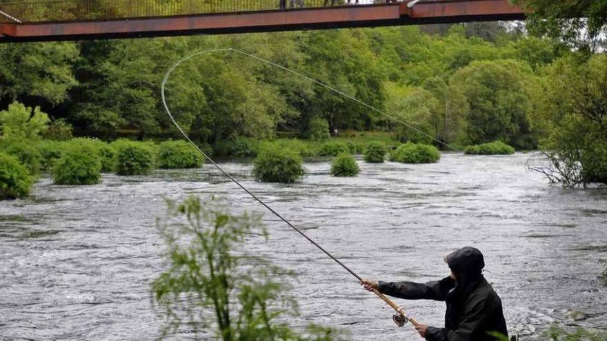 Un pescador de salmón, en el coto estradense de Ximonde. // Bernabé / Javier Lalín