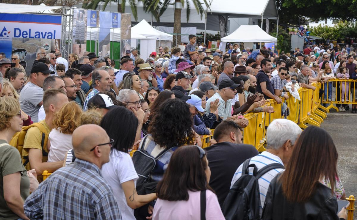 Feria de Ganado de Gran Canaria
