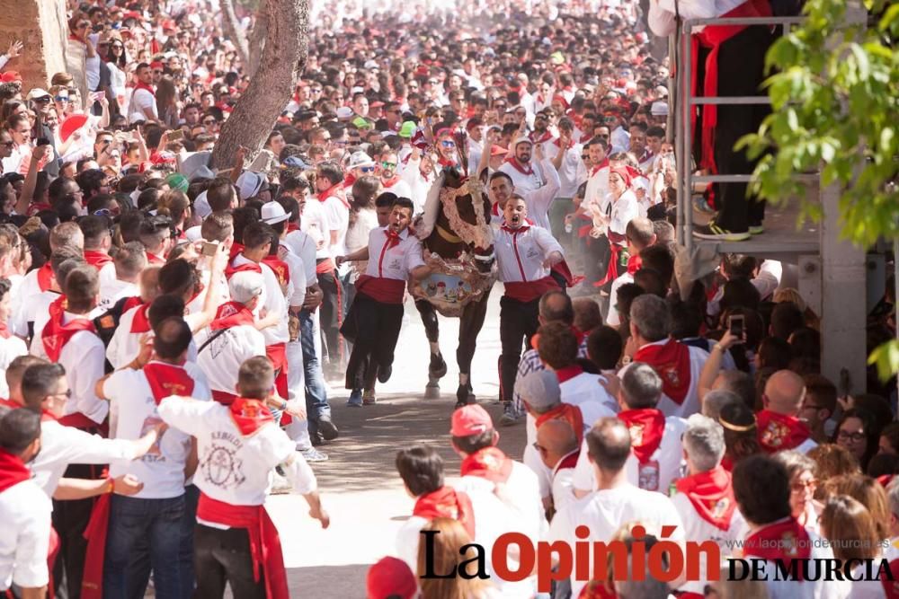 Carrera de los Caballos del Vino