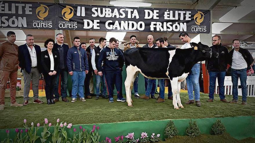 Políticos y participantes en la puja junto a la novilla en el recinto ferial de Curtis.