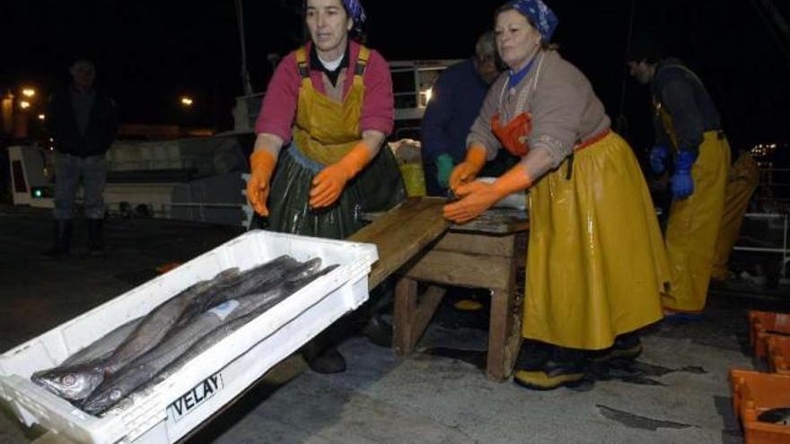 Dos trabajadoras descargan merluza en el puerto de A Coruña. / juan varela