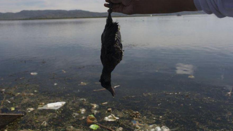 El lago Titicaca es ahora una cloaca de aguas contaminadas con plomo