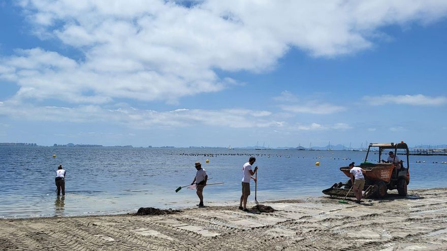 Las lluvias de primavera y el calor aumentan el riesgo de crisis en el Mar Menor