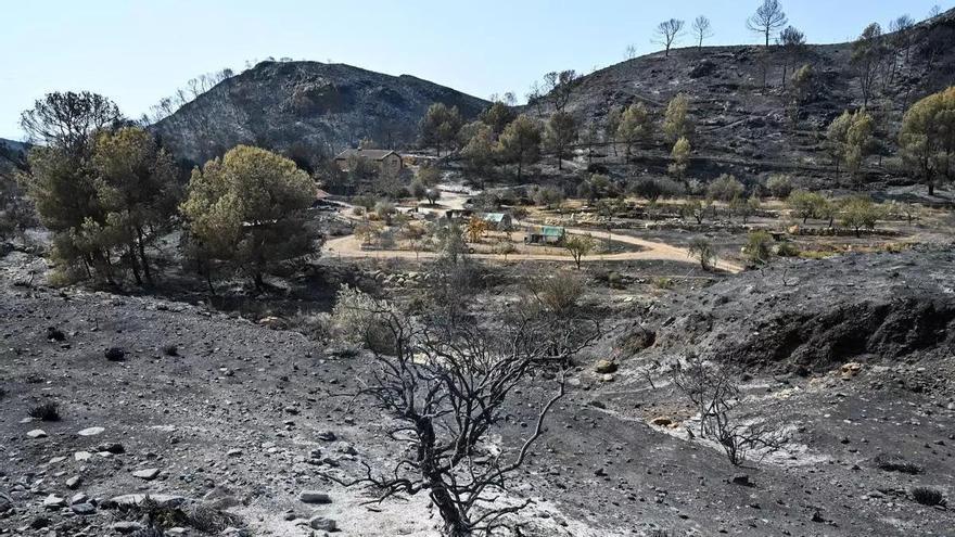 Mor una de les dones hospitalitzades per l'incendi de Los Gallardos (Almeria) i s'eleven a 13 els morts