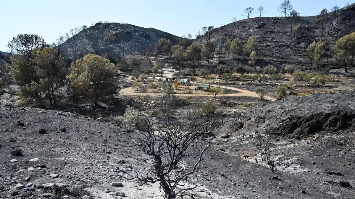 Continuen els treballs d'extinció de l'incendi dels Gallards (Almeria)