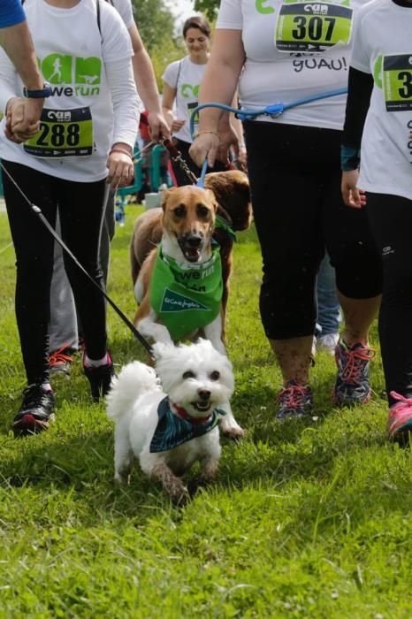 "Can We Run" reúne a más de 400 perros y corredores en el Parque Fluvial de Viesques, en Gijón.