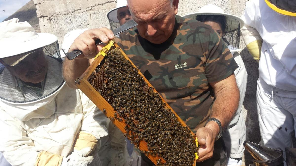 Florencio Gutiérrez con sus abejas