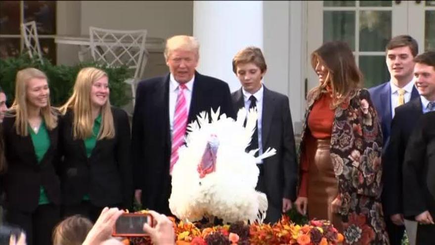 Trump cumple con la tradición e indulta a los pavos Muslo y Pechuga