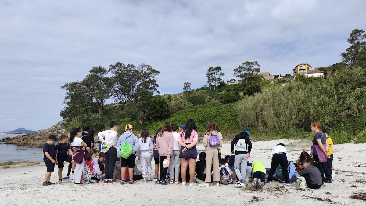Los alumnos en la clase práctica en la playa para rescatar un delfín.