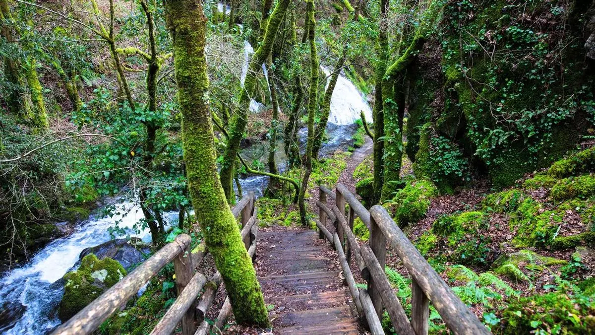 El impresionante sendero de Galicia perfecto para una escapada: una ruta entre mágicos bosques, molinos y cascadas
