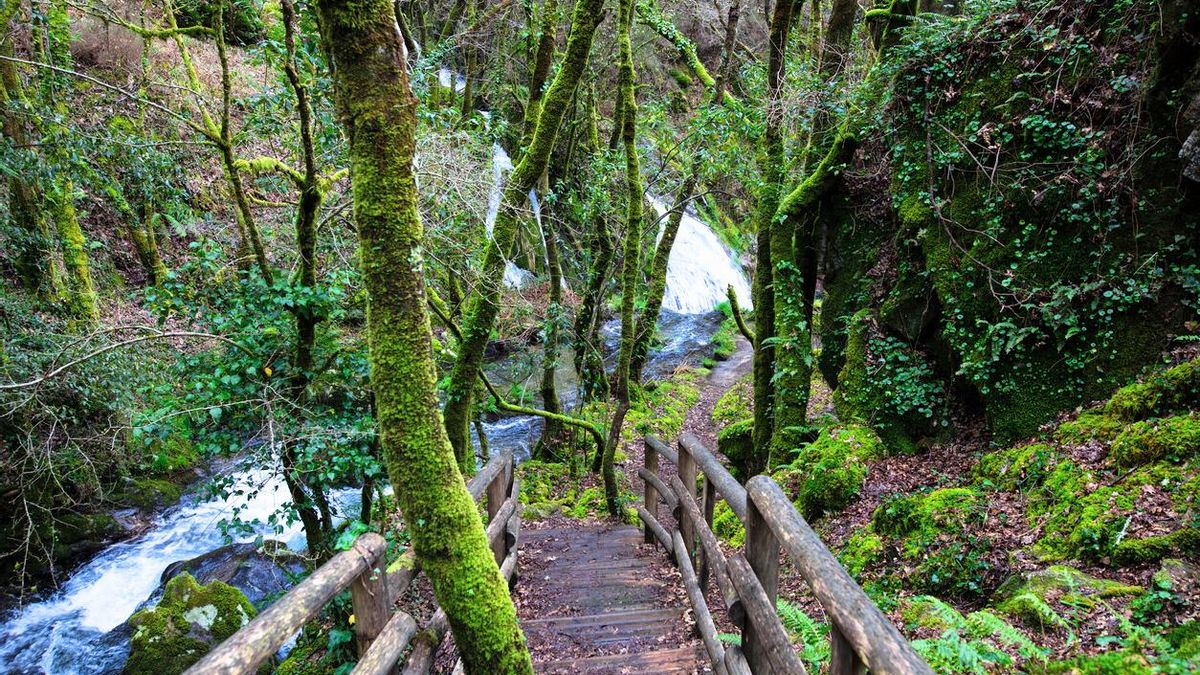 El impresionante sendero de Galicia perfecto para una escapada: una ruta entre mágicos bosques, molinos y cascadas