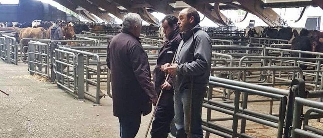 Tratantes, el pasado marzo, en el mercado de Pola de Siero.