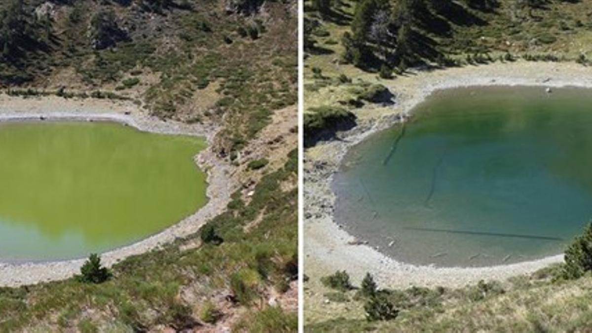 El 'estany' o pequeño lago de Closell, en el parque natural del Alt Pirineu, antes (2013) y después (2015) del proceso de restauración ambiental