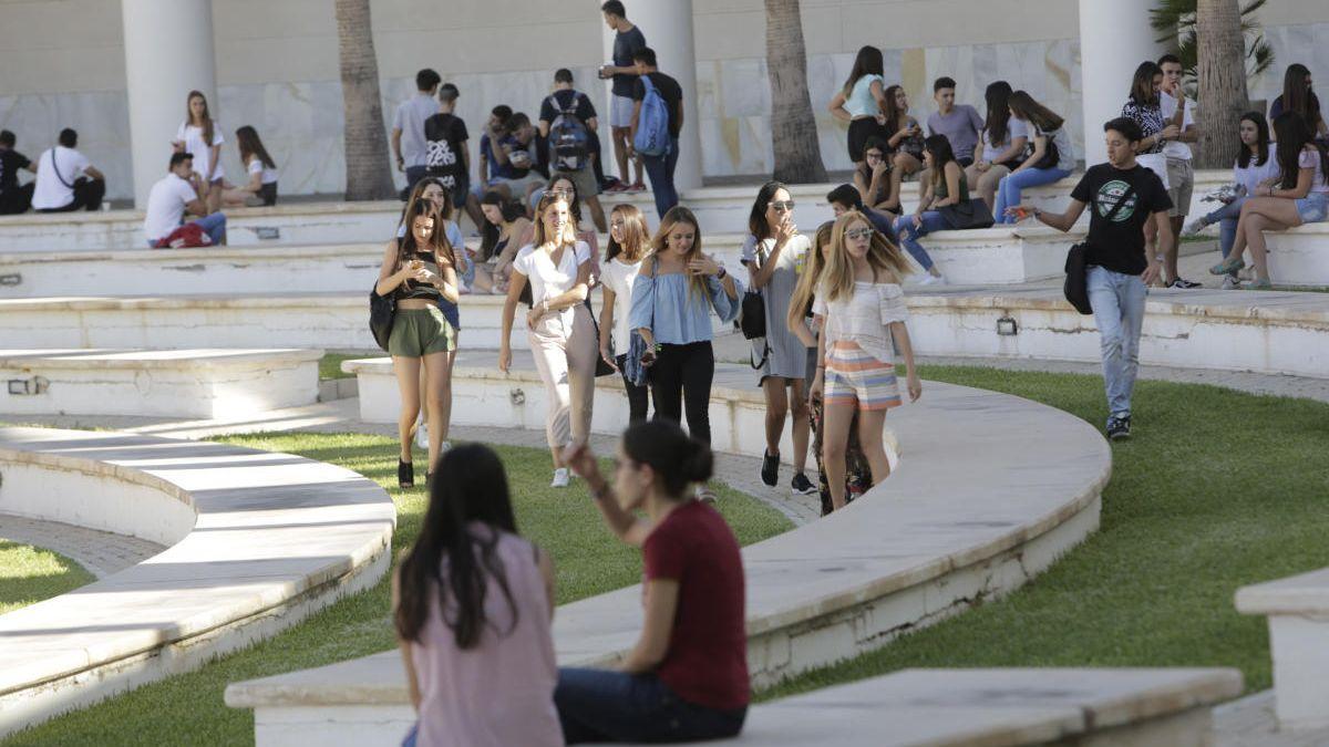 Alumnos de la UA, en el campus universitario de Alicante