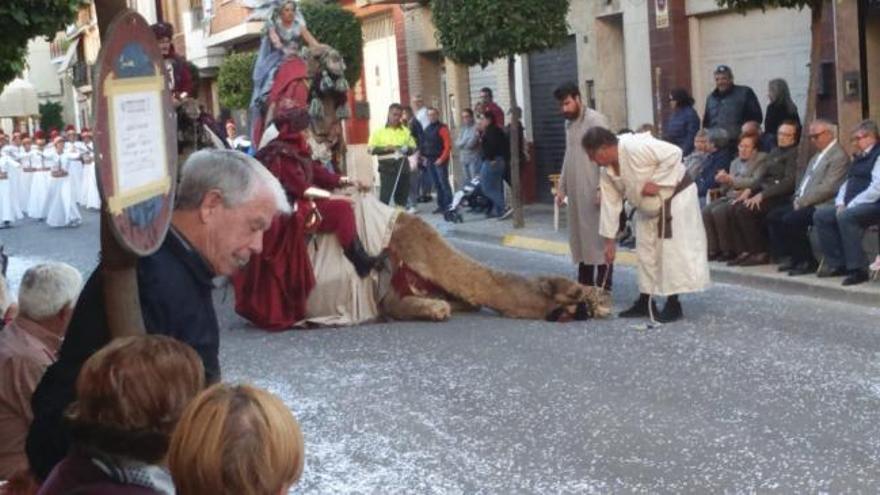 Un camello se desmaya en la Entrada de Sedaví