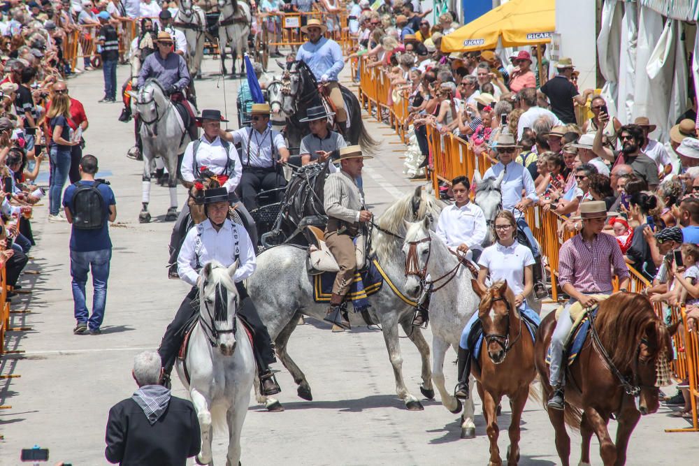 Feria de Sevillanas de Torrevieja 2018