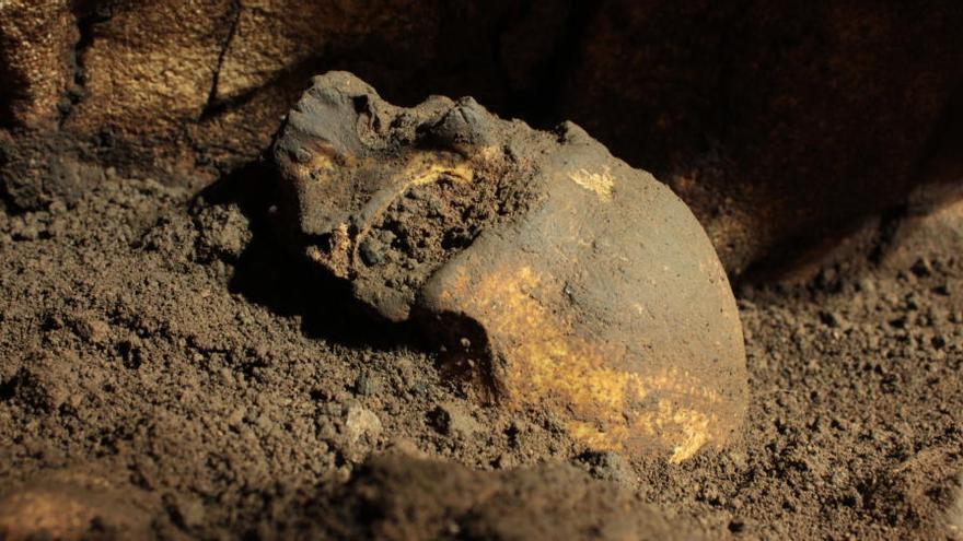 El MARQ descubre un cráneo de 5.000 años en la Cova del Randero de Pedreguer