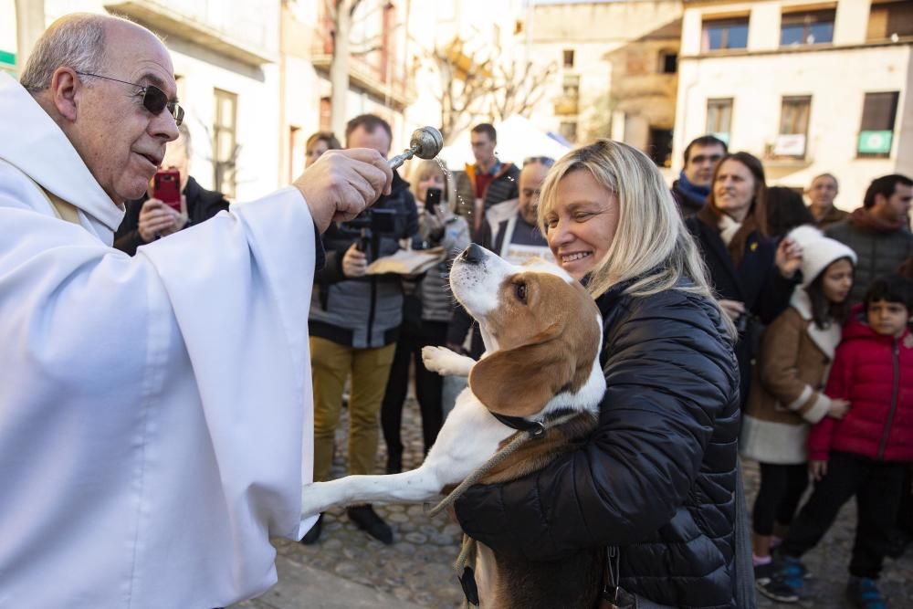 Anglès celebra la Fira de Sant Antoni