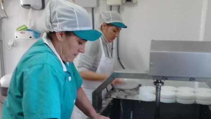 Magdalena Rodríguez, y su hija, Magdalena Campos, preparan la leche en los moldes y los prensan para realizar el queso de manera artesanal