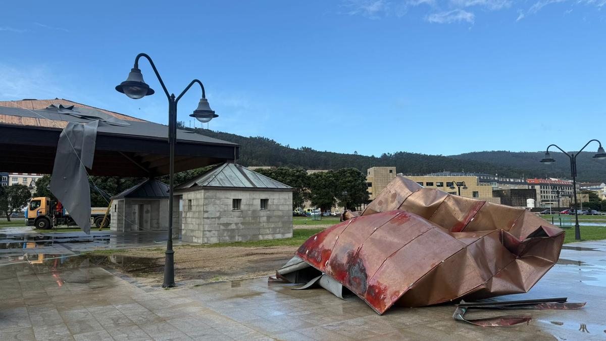 Imagen de la estructura desprendida.