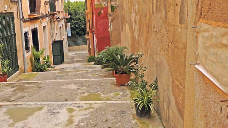 Los vecinos han adornado con plantas la calle Catany. ¿Estamos en Palma?