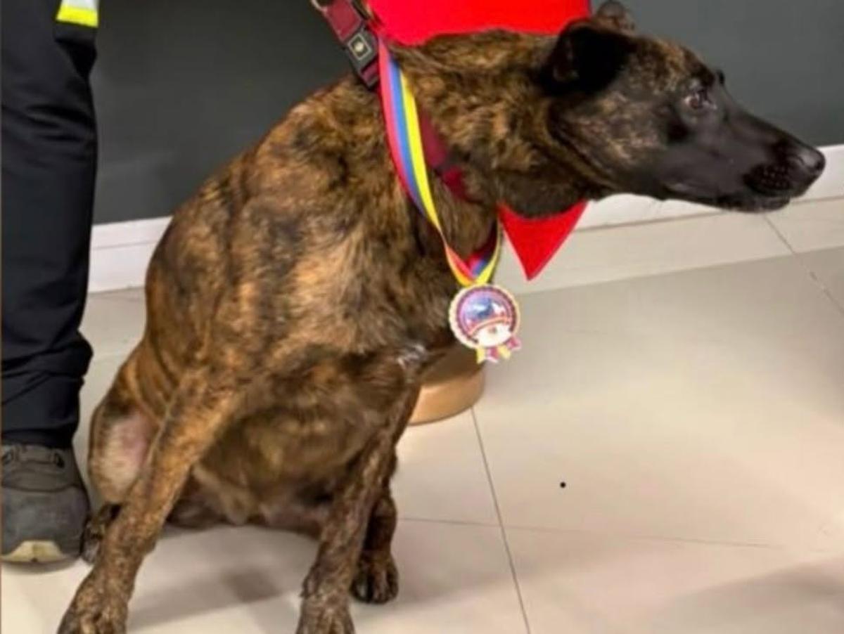 Luka, con una medalla de Venezuela.