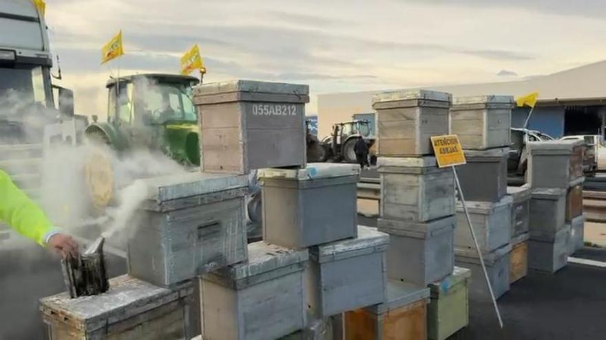 La apicultura murciana denuncia su exclusión del plan del Gobierno para amortiguar el impacto de la guerra