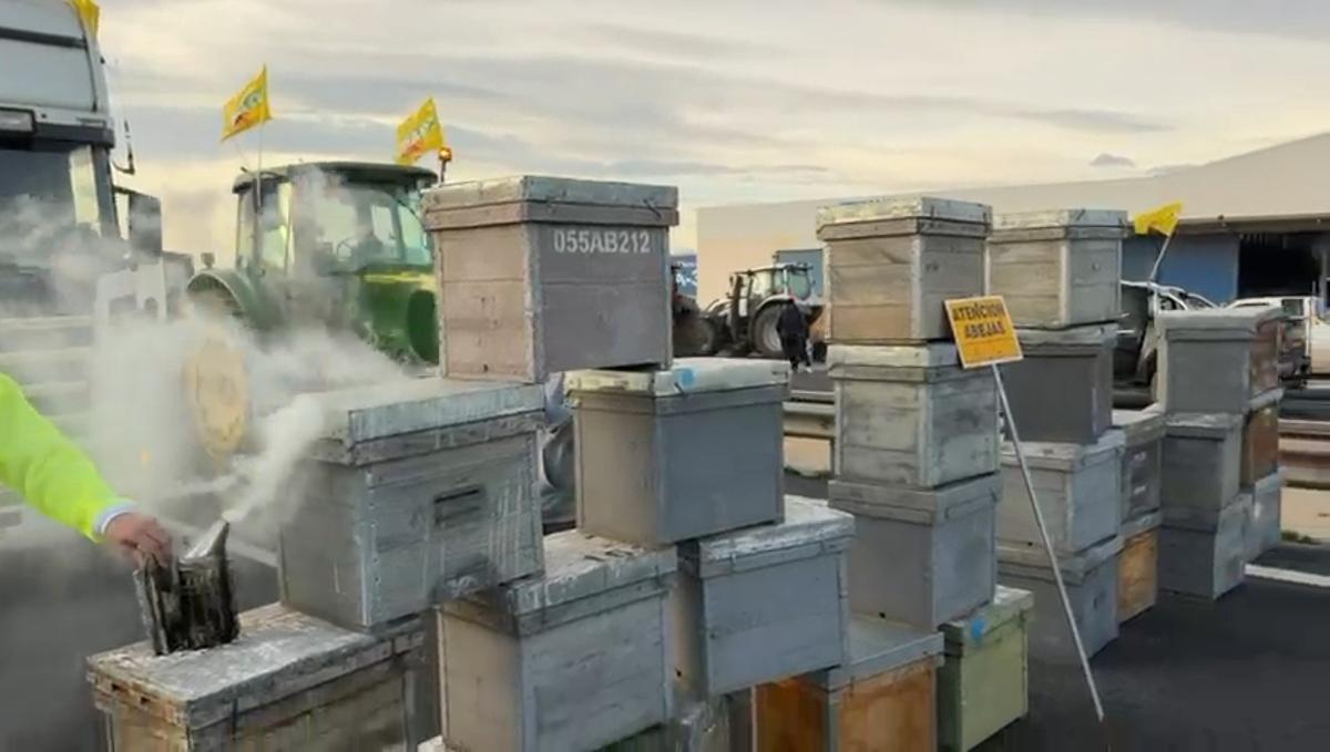 Los agricultores usaron el pasado mes de enero panales de abeja para cortar el tráfico en la A-30 dirección Murcia