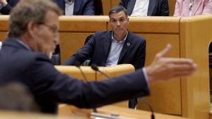 Pedro Sánchez y Alberto Núñez Feijoó, durante un pleno del Senado. 