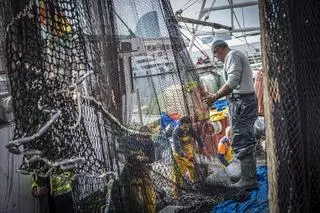 La economía azul irrumpe en Tarragona para atraer inversiones y fomentar la ocupación