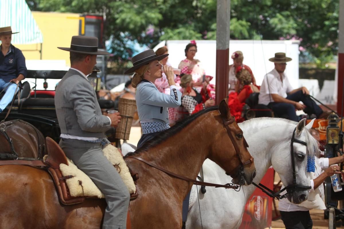 Fotogalería / Martes de Feria