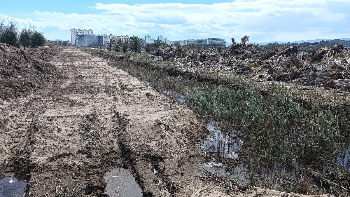 La acequia de l’Auir, que antes estaba oculta por la vegetación, empieza a aflorar con los primeros desbroces.