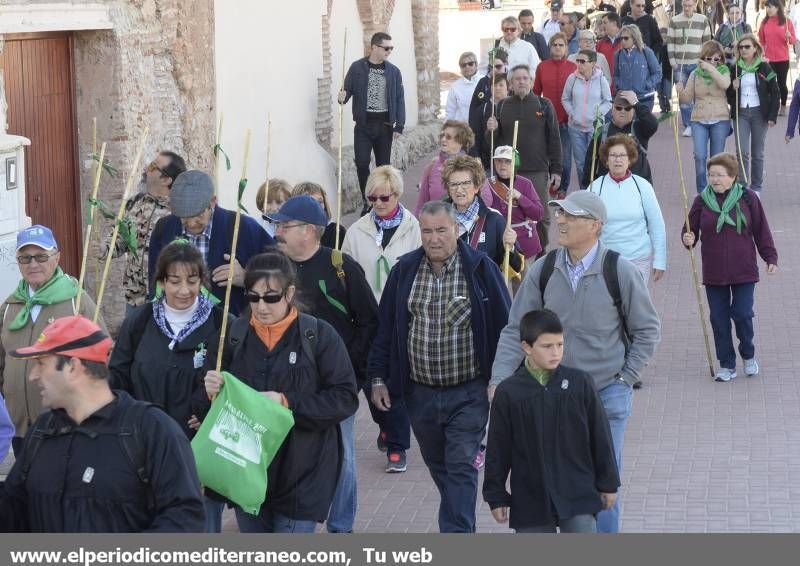 GALERÍA DE FOTOS - Romería Magdalena 2014 (2)