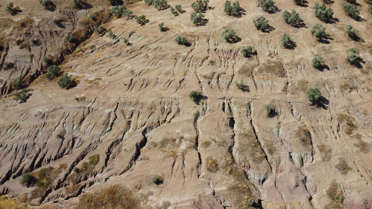 La desertificación es uno de los principales problemas medioambientales de España. Su gravedad y extensión no dejan de aumentar