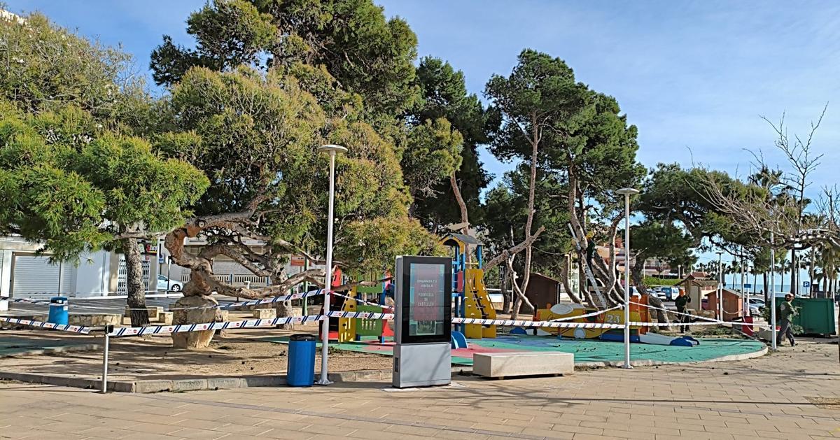 La zona se precintó para evitar el paso de personas.