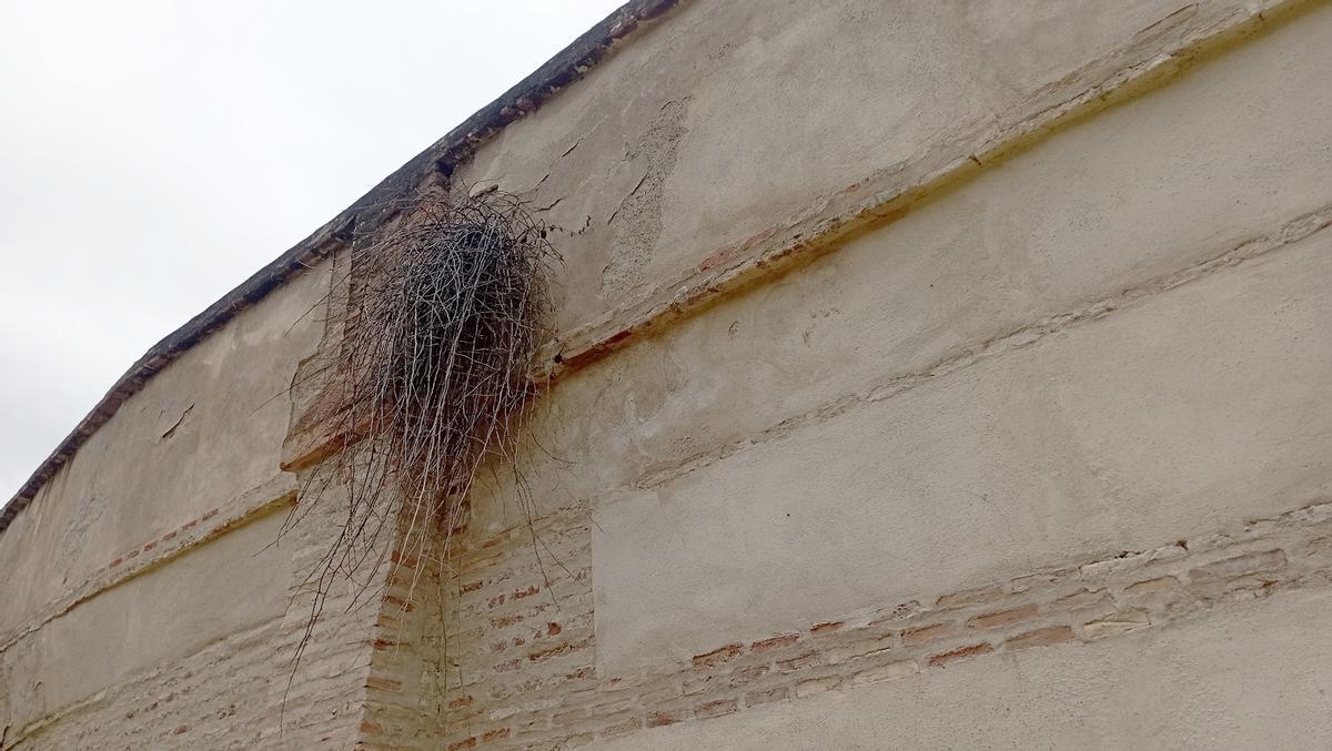 La vegetación daña el BIC Acueducto de San Telmo, en el Puente de los One Ojos.