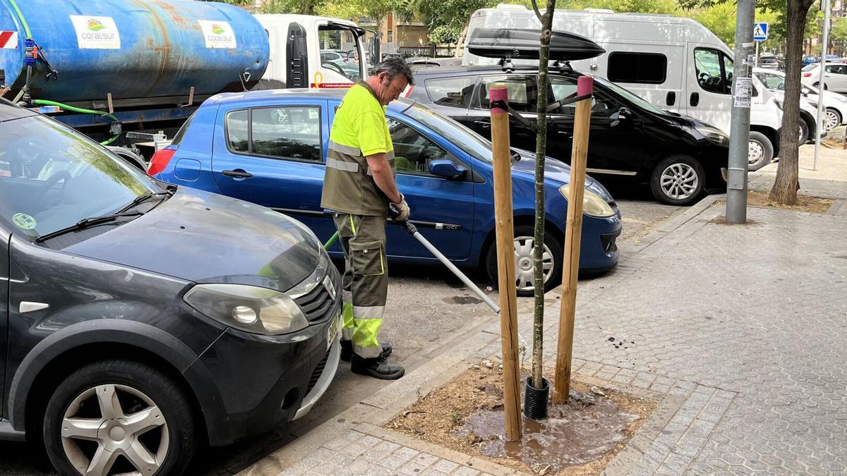 Trabajador regando el arbolado del distrito Macarena.