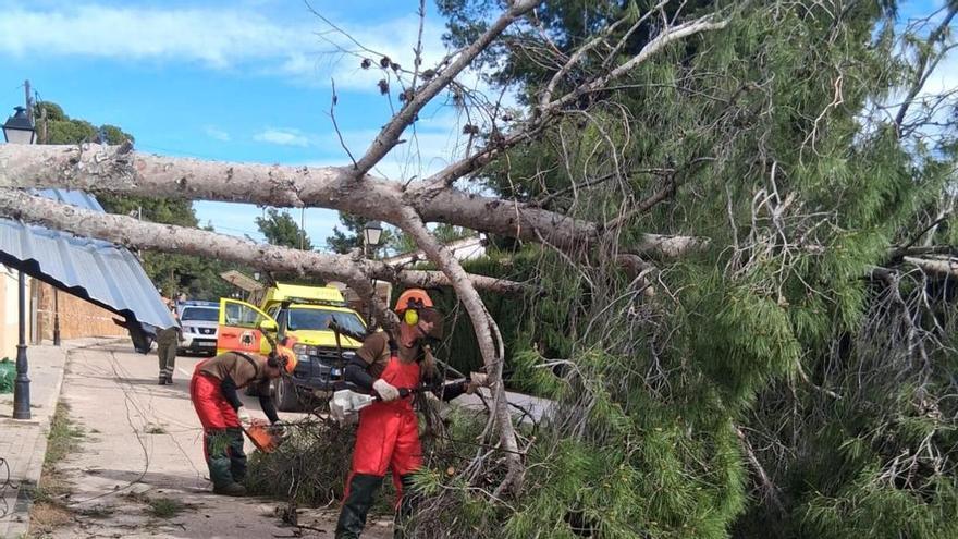 El temporal deja más de 1.600 intervenciones y récords de viento