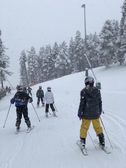 Els efectes de la nevada a la Cerdanya