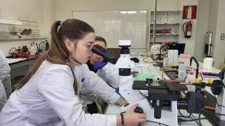 Formación en empresa, Erasmus y nuevo curso de especialización en Quesería