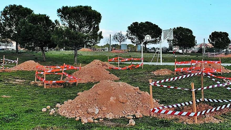 Un dels espais on s&#039;han fet una nova plantada d&#039;arbres