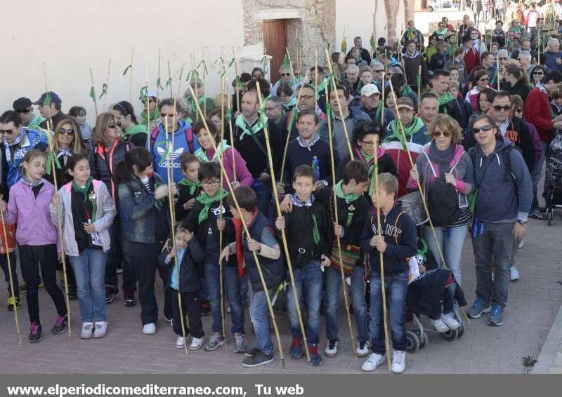 GALERÍA DE FOTOS - Romería Magdalena 2014 (4)