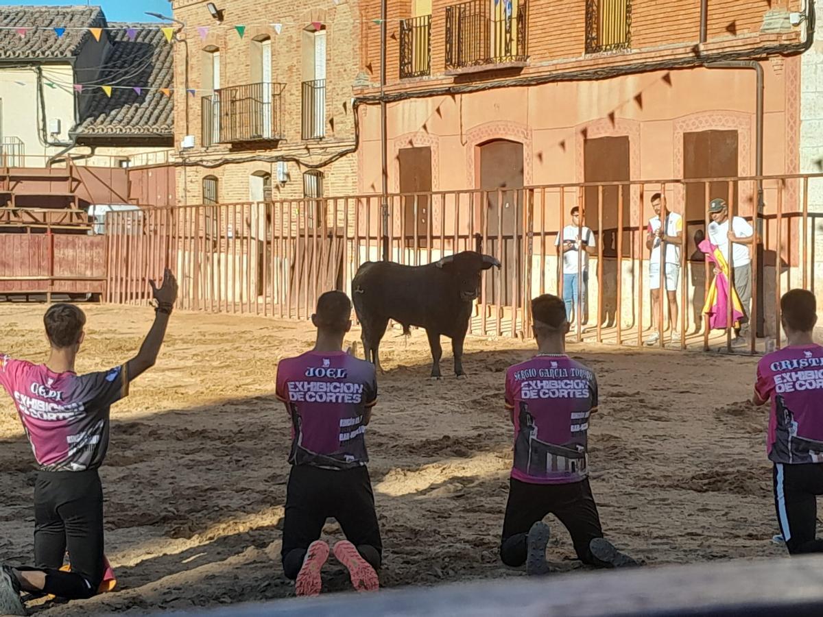 GALERÍA | Exhibición de cortes, quiebros y saltos en Morales de Toro