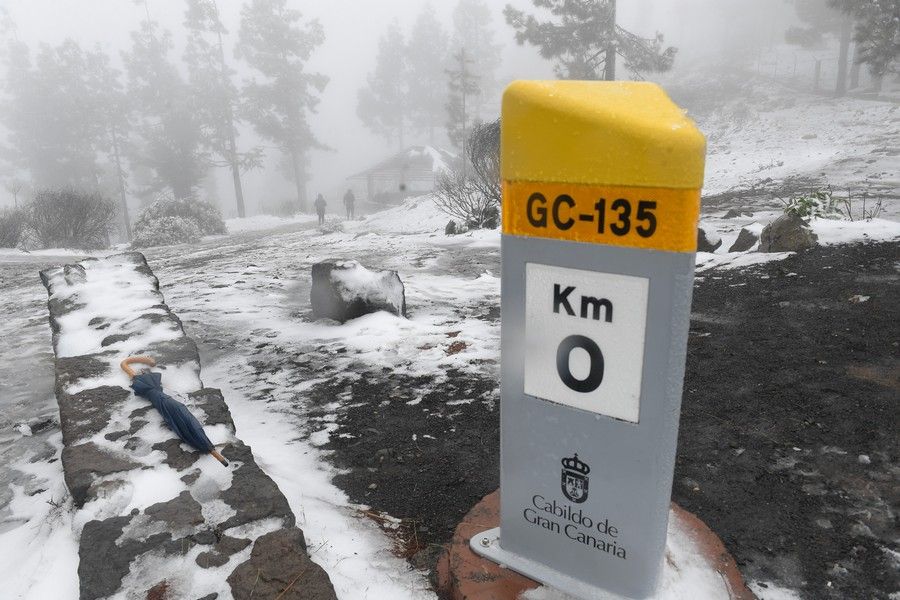 Visita a la cumbre nevada