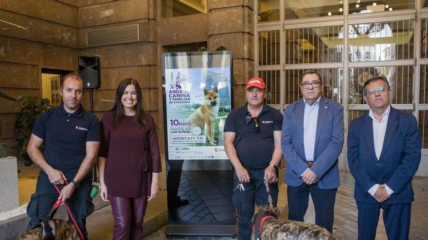 El Parque del Agua de Zaragoza se llenará de perros: el 10 de mayo regresa la Andada Canina Kalibo 5K
